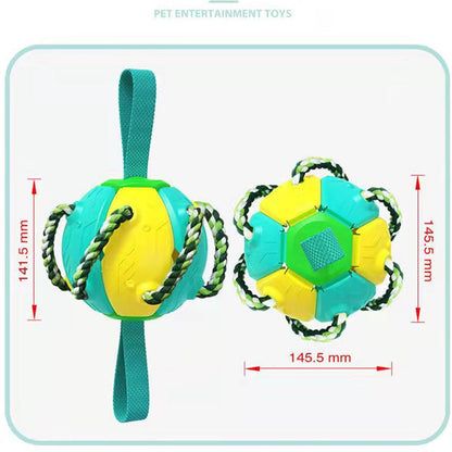 Pet Supplies Throwing Frisbee Outdoor Training Interactive Frisbee Football Dog Toy
