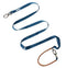 Blue-Leash
