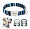 Blue Stripe