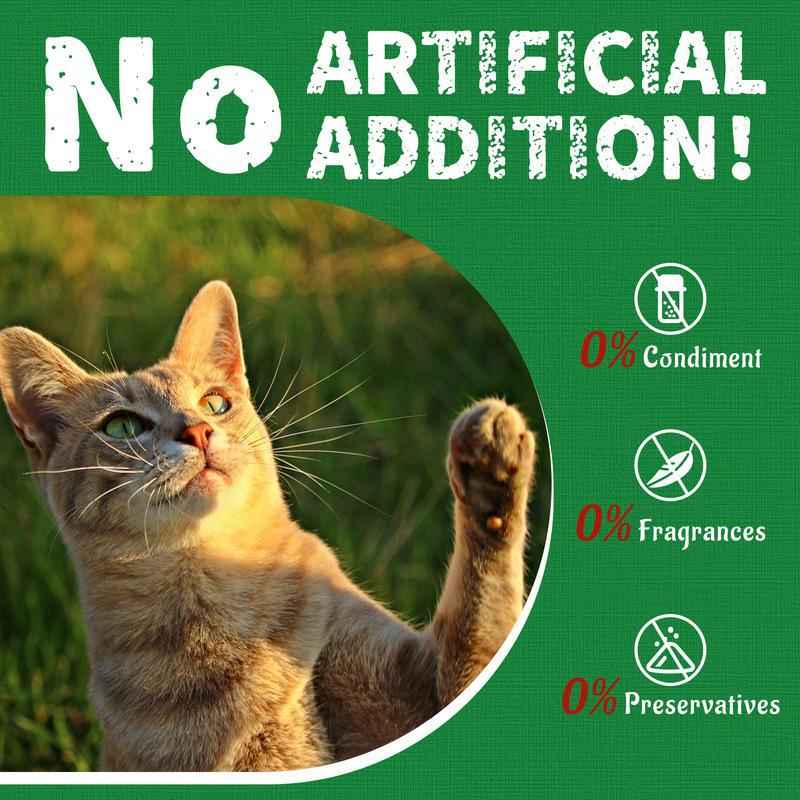 Feline Grass Treats – Organic Mint & Barley, Catnip Flavor