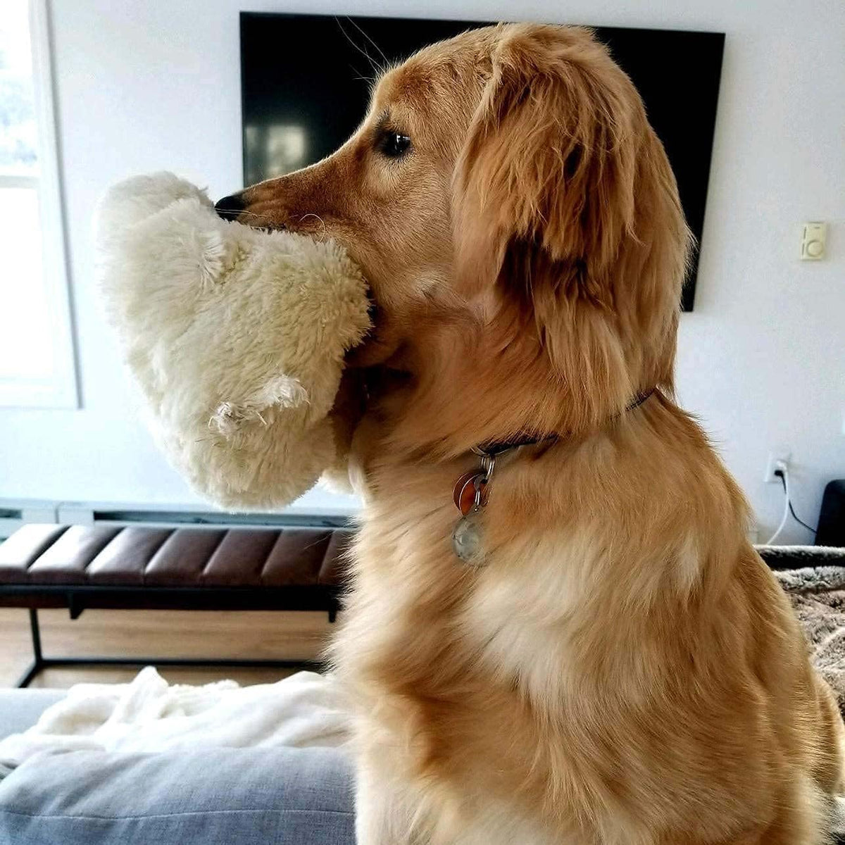 Snuggle Puppy Heartbeat Toy – Calming Comfort Plush for Medium Dogs, Cream