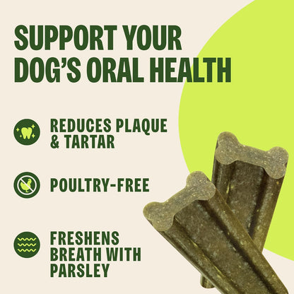 Whimzees Brushzees VOHC accepted dental chews