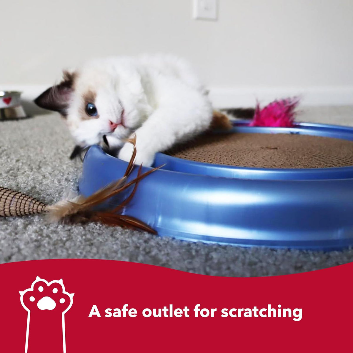 Bergan Turbo Scratcher cat toy with round ball track and cardboard scratch pad