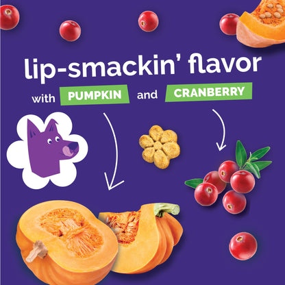 Fruitables Pumpkin & Blueberry Low-Calorie Baked Dog Treats, 12 oz