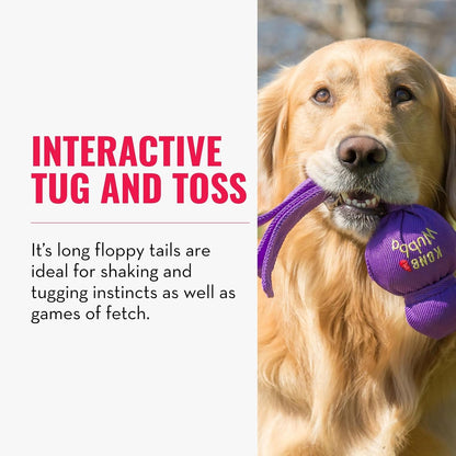 Dog playing tug of war with a KONG Wubba toy