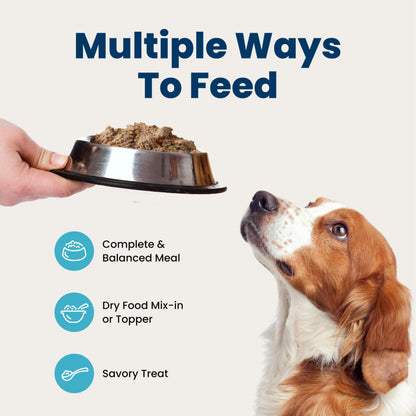 Blue Buffalo Homestyle Recipe Wet Dog Food Variety Pack, 6 Count