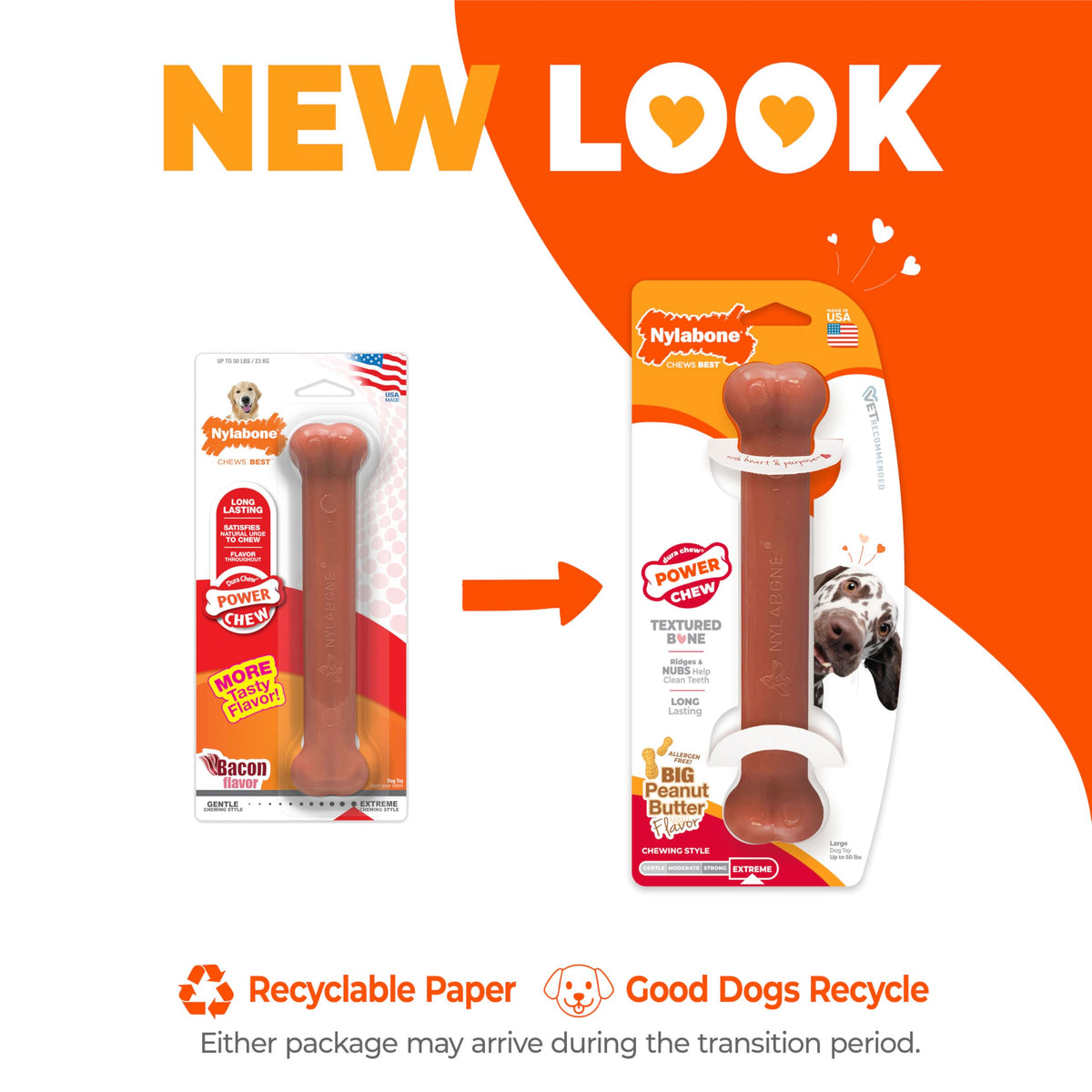 Nylabone Power Chew durable nylon bone for aggressive chewers
