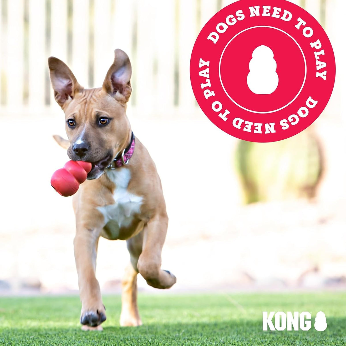 Dog playing tug of war with a KONG Wubba toy