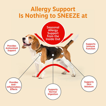 Zesty Paws Peanut Butter Allergy Support Chews for Dogs, 90 Count