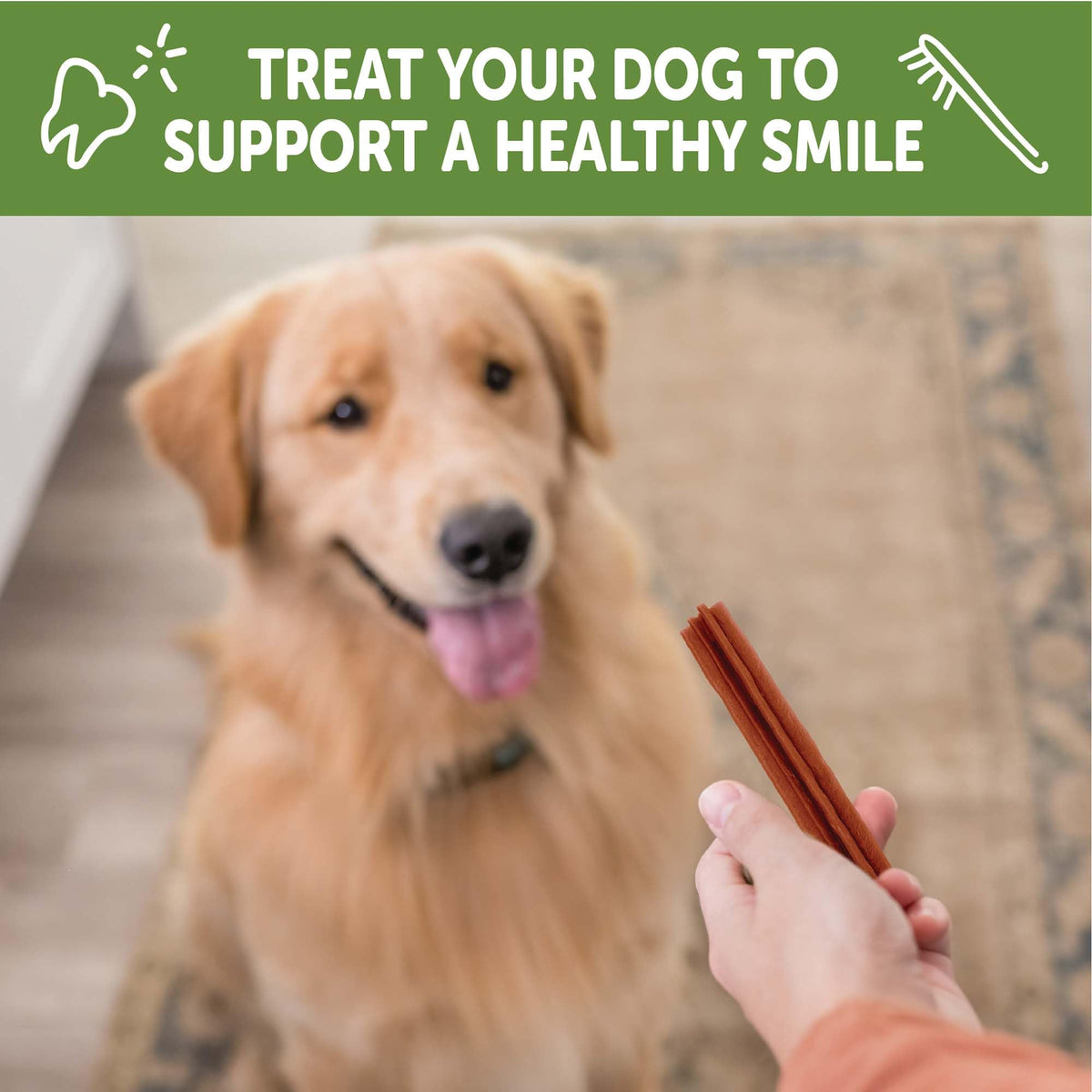 WHIMZEES Holiday Dog Dental Treats – Medium, 6 Count