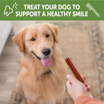 WHIMZEES Holiday Dog Dental Treats – Medium, 6 Count