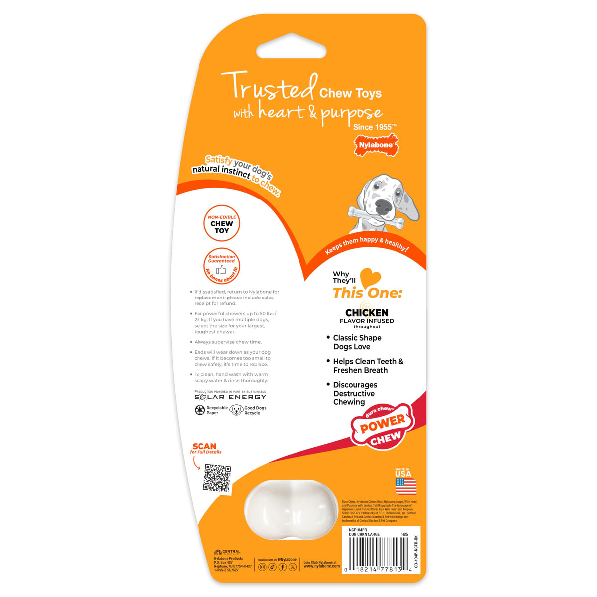 Dog chewing a Nylabone Power Chew nylon bone toy