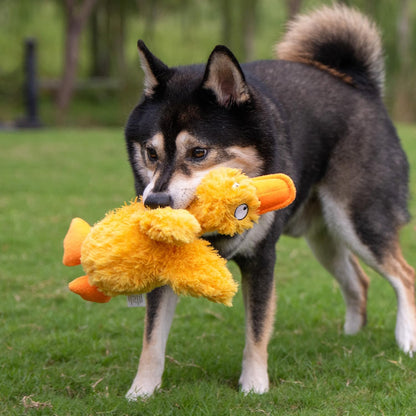 Best Pet Supplies Crinkle Duck Dog Toy – Blue, No Stuffing