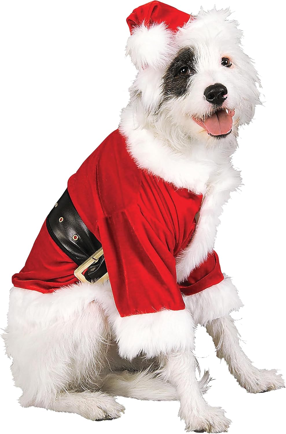 Dog wearing Rubie's Santa Claus pet costume with red jacket and Santa hat