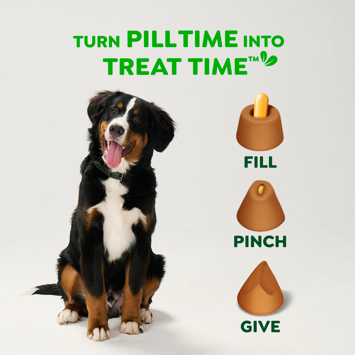 Greenies Pill Pockets for Large Dogs – Chicken Flavor, 15.8 oz