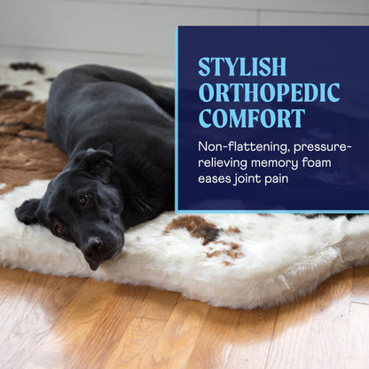 PupRug Orthopedic Dog Bed – outdoor setting view