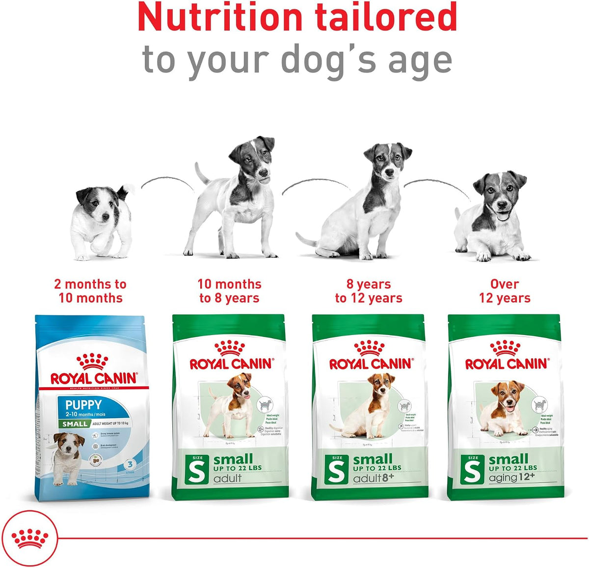 Royal Canin Small Adult Dry Dog Food, 4 lb Bag