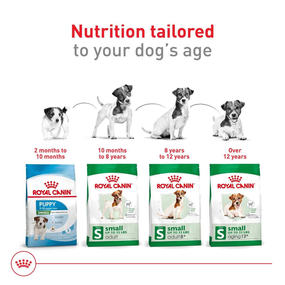 Royal Canin Small Adult Dry Dog Food, 4 lb Bag
