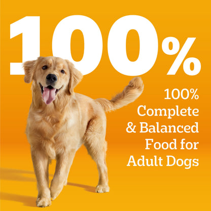 Pedigree Choice Cuts Beef Stew – group view