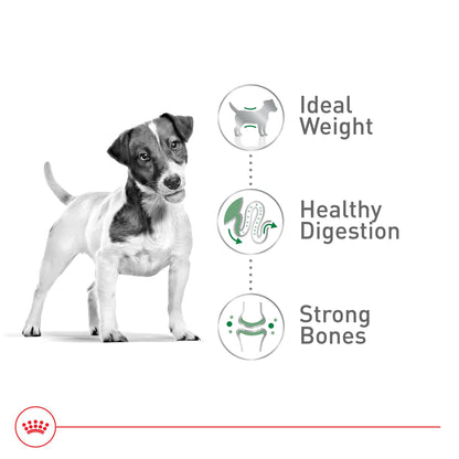 Royal Canin Small Adult Dry Dog Food, 4 lb Bag