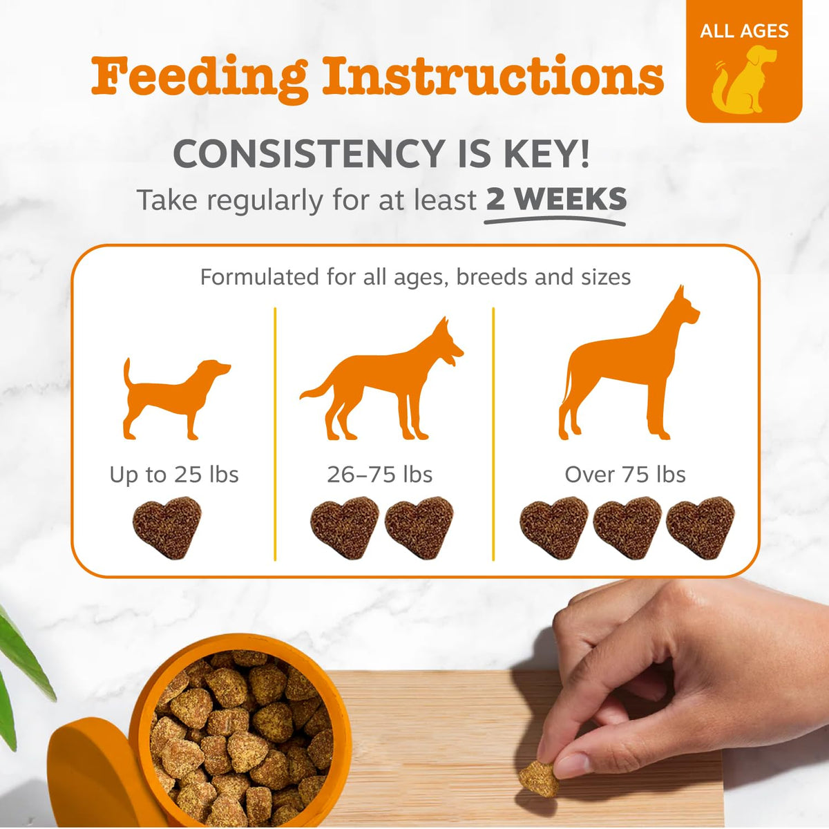 Zesty Paws Pumpkin Probiotic Soft Chews for Dogs, 90 Count