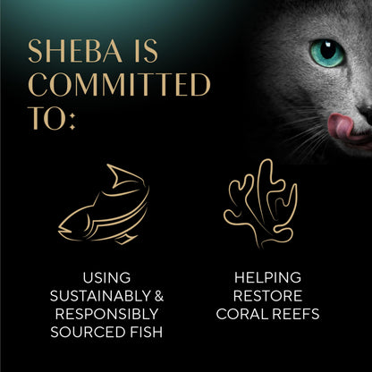 Sheba Perfect Portions Cuts in Gravy Wet Cat Food Multipack, 24 Trays