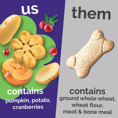 Fruitables Pumpkin & Blueberry Low-Calorie Baked Dog Treats, 12 oz