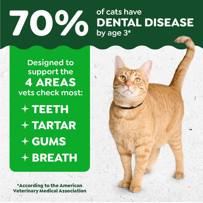 Feline Greenies Dental Treats – lifestyle scene view