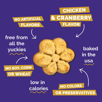 Fruitables Pumpkin & Blueberry Low-Calorie Baked Dog Treats, 12 oz