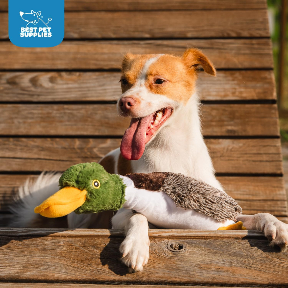 Best Pet Supplies Crinkle Duck Dog Toy – Blue, No Stuffing
