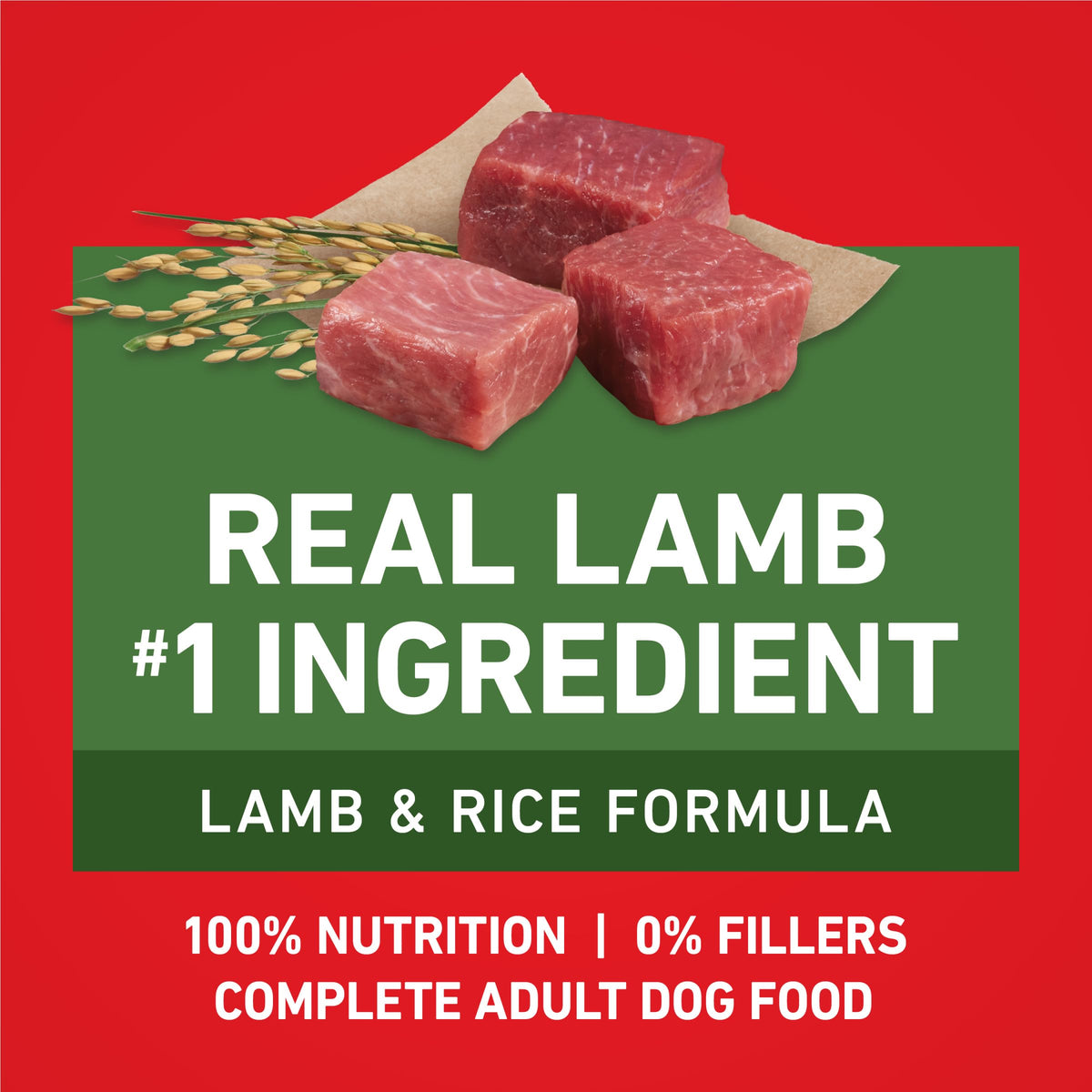 Purina ONE Lamb & Rice Formula Dry Dog Food for Digestive Support