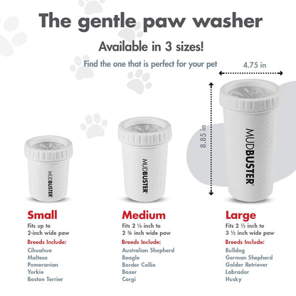 Washing a dog's paw in a Dexas MudBuster paw washer