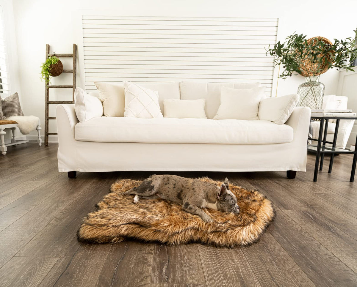 PupRug Orthopedic Dog Bed – group view