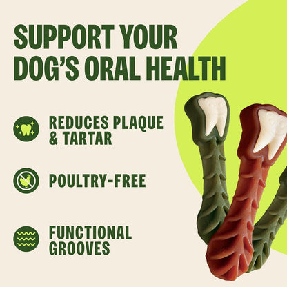 Dog chewing a Whimzees Brushzees toothbrush-shaped chew