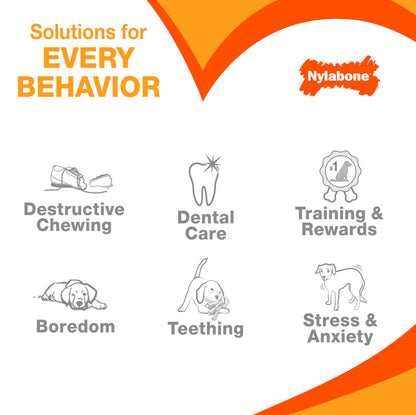 Nylabone Power Chew durable nylon bone for aggressive chewers