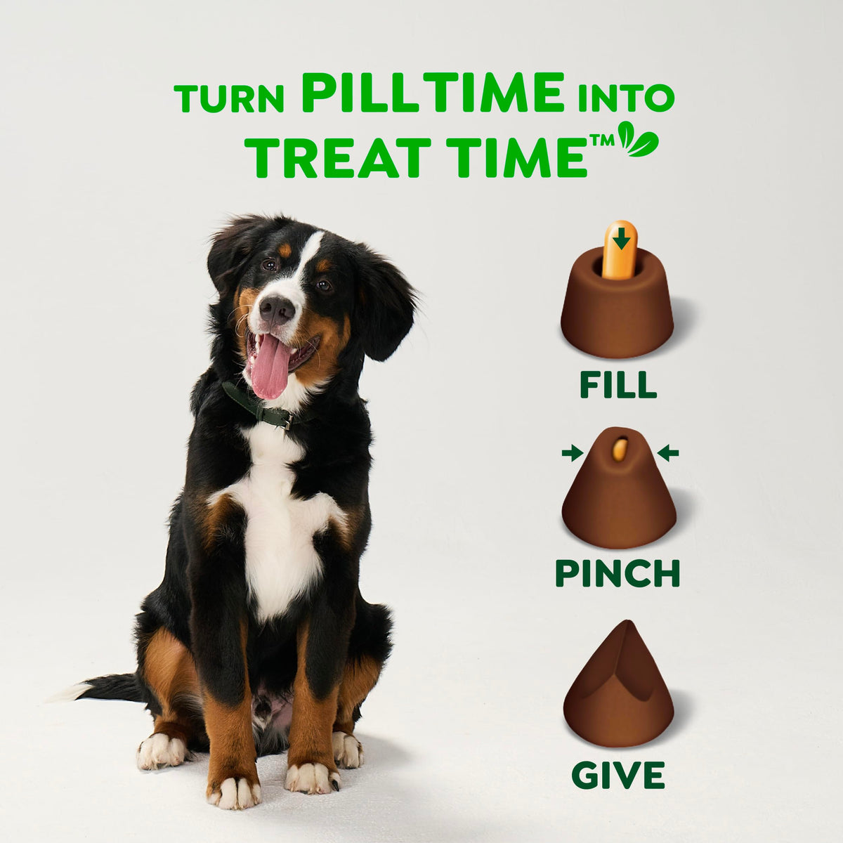 Greenies Pill Pockets for Large Dogs – Chicken Flavor, 15.8 oz