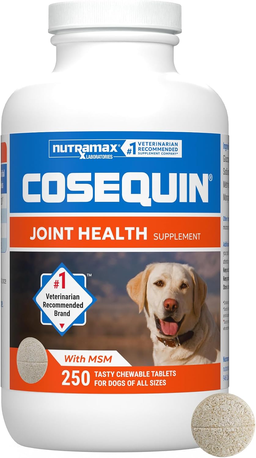 Nutramax Cosequin Joint Health Supplement for Dogs with MSM & HA, 250 Chew Tablets