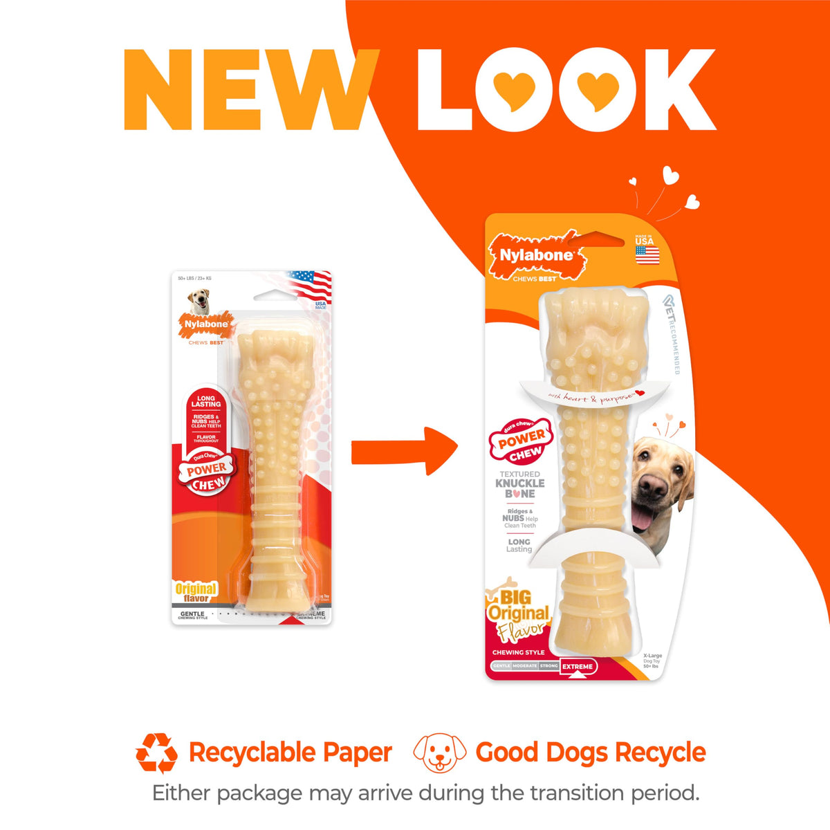 Dog chewing a Nylabone Power Chew nylon bone toy