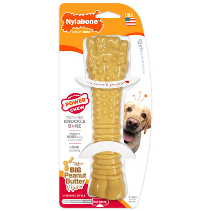 Nylabone Power Chew durable nylon bone for aggressive chewers