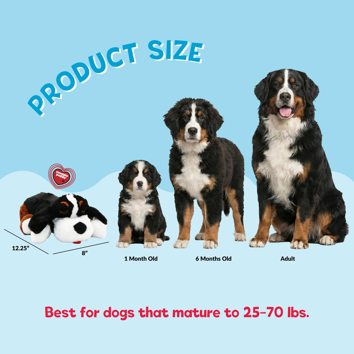 Snuggle Puppy Heartbeat Toy – controls close-up