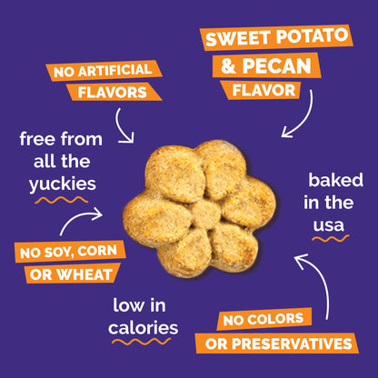 Fruitables Pumpkin & Blueberry Low-Calorie Baked Dog Treats, 12 oz
