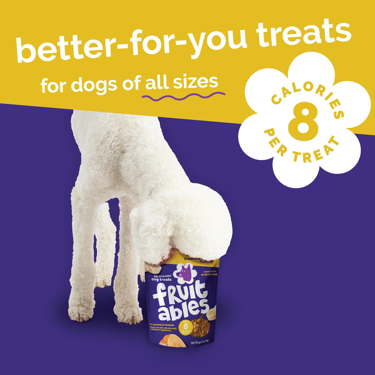 Fruitables Pumpkin & Blueberry Low-Calorie Baked Dog Treats, 12 oz