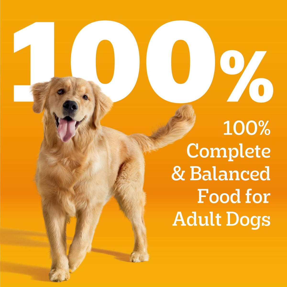 Pedigree Choice Cuts Beef Stew – color variant view