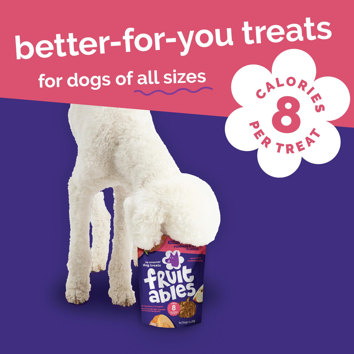 Fruitables Pumpkin & Blueberry Low-Calorie Baked Dog Treats, 12 oz