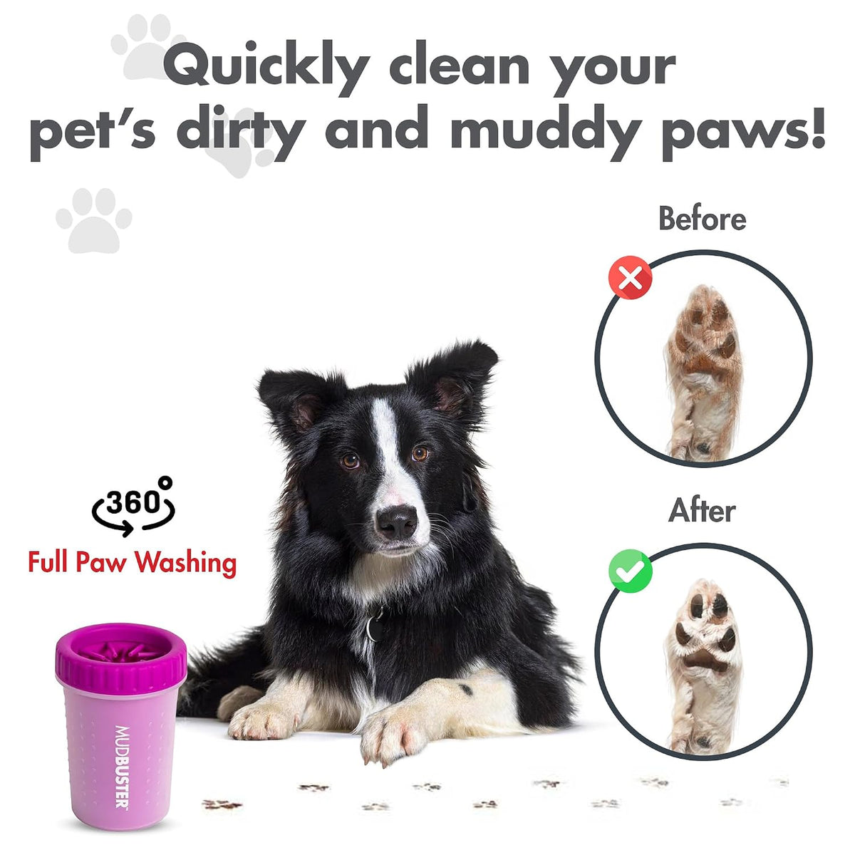 Washing a dog's paw in a Dexas MudBuster paw washer