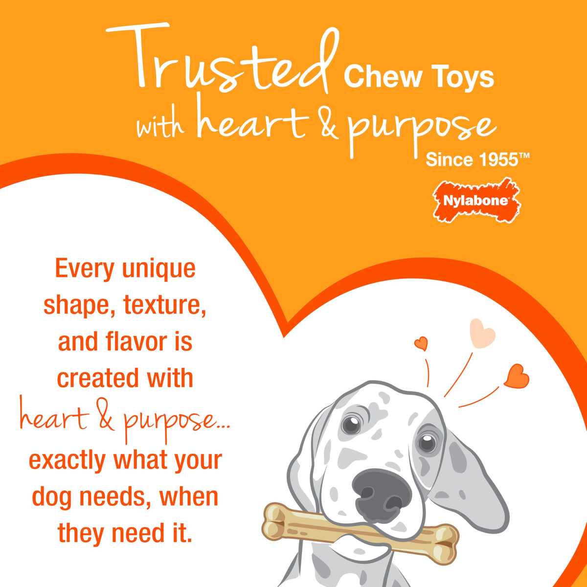Nylabone Power Chew toys in bacon, chicken and peanut butter flavors
