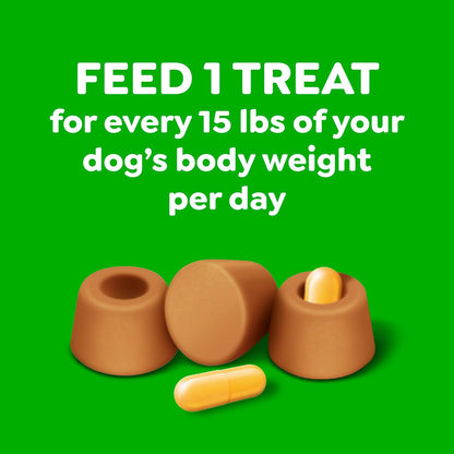 Greenies Pill Pockets for Large Dogs – Chicken Flavor, 15.8 oz
