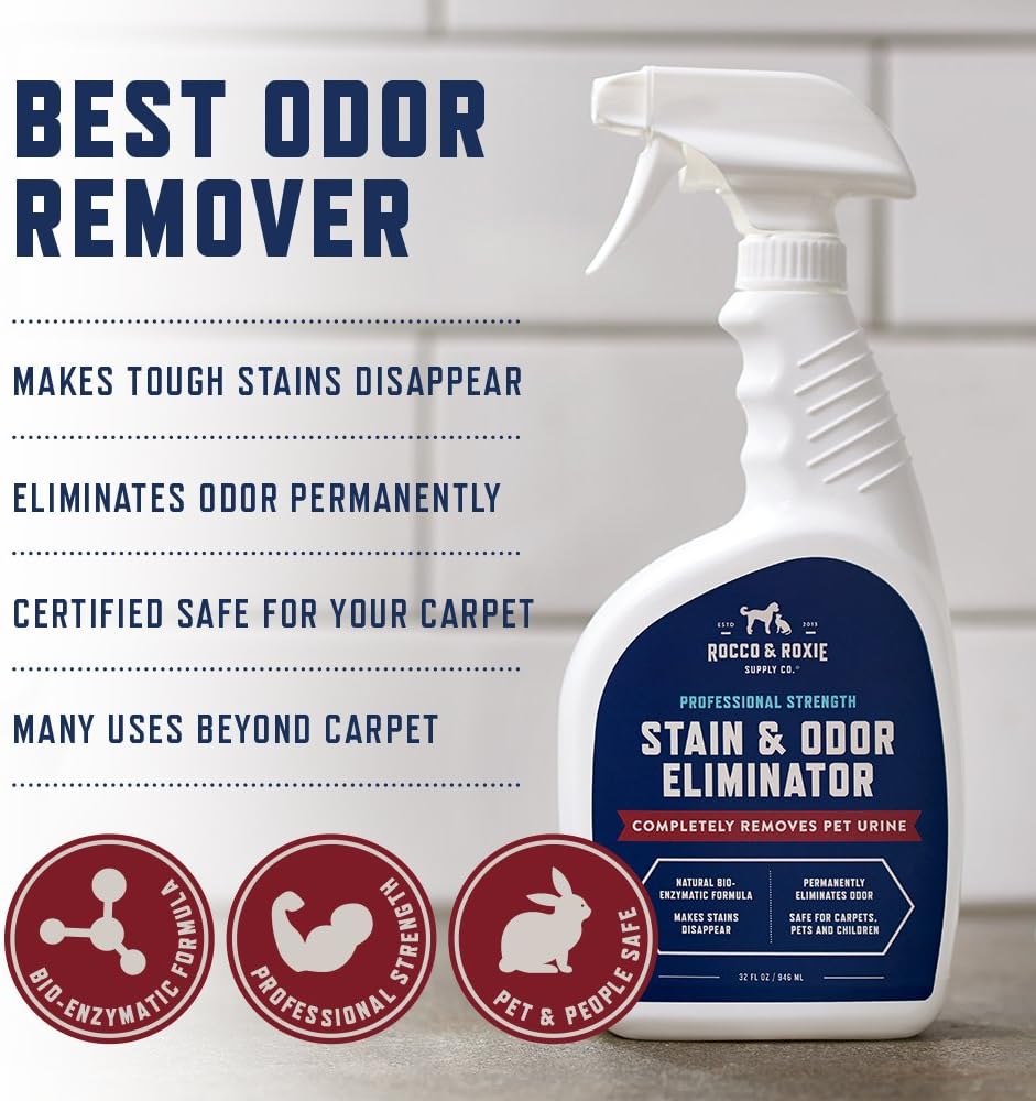 Cleaning a pet stain with Rocco and Roxie enzyme cleaner