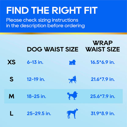 Male Dog Wraps Disposable – group view