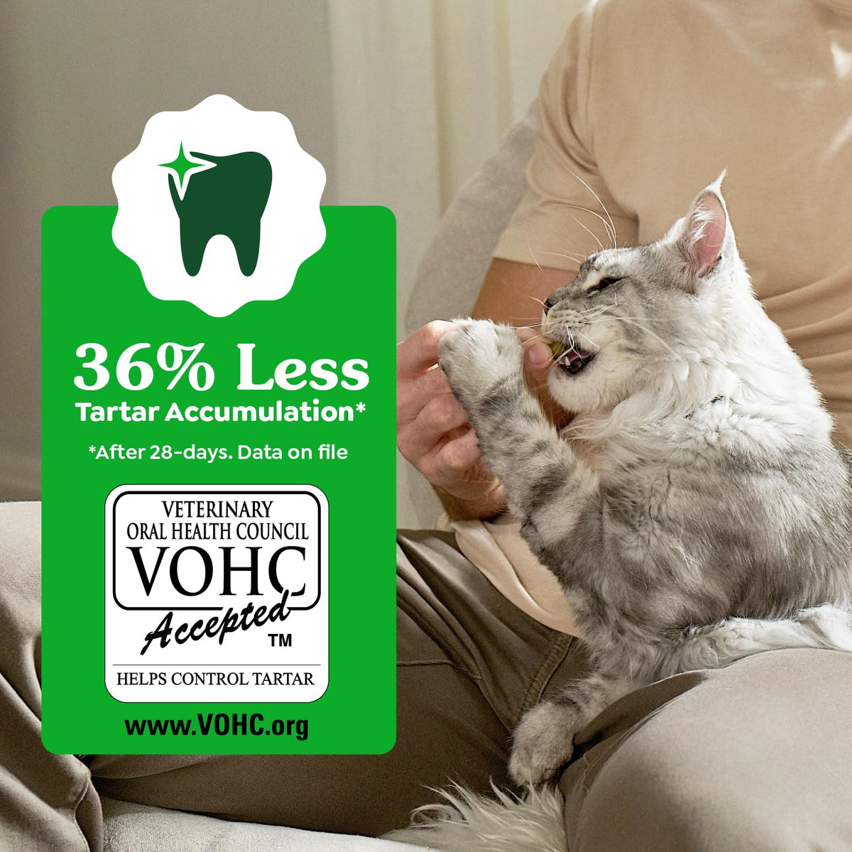 Feline Greenies Dental Treats – controls close-up